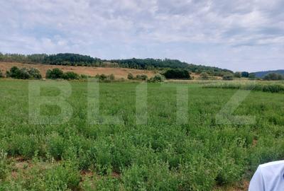 De vanzare teren Fundatura 27500mp - intravilan - 5