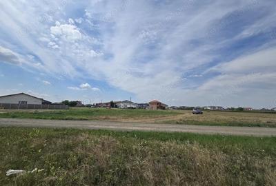 Mosnita Noua- Serena-1100mp - P+1E+M- Toate Utilitatile - 3