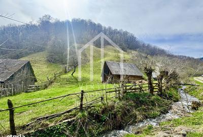 Teren de 12167 mp, în Câineni - 2