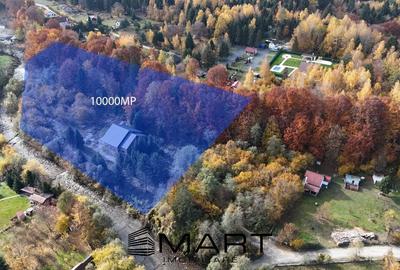 Pensiune 16 camere, teren 1ha, Valea Avrigului
