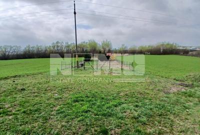 Teren agricol extravilan de 4100 mp, în Burdujeni - 13