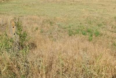 Teren agricol extravilan de 3700 mp, în Șimian - 1