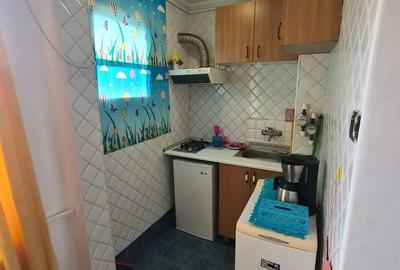 Garsoniera primitoare si boema -Pta Alba Iulia - unirii DB1053 Garsoniera primitoare si boema -Pta Alba Iulia - unirii DB1053 - 3