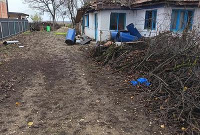 Teren 8000 MP cu casa Demolabila - 3