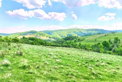 25.000 mp TEREN IDEAL AFACERE TURISM – AMENAJARE LAC DE PESCUIT, CIUCEA - CLUJ