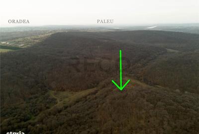 Teren de 1809 mp, în Paleu - 5
