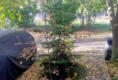 CASA DE VANZARE, BRAGADIRU, 4 CAMERE - 1