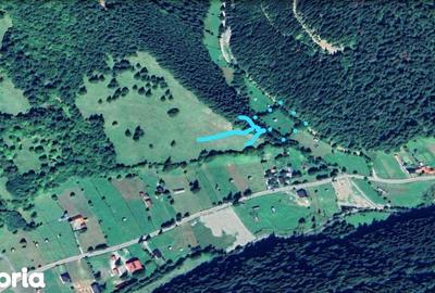 Teren de 3386 mp, în Borca