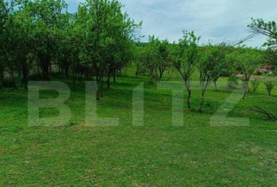 Teren de 3000 mp, în Dej - 1