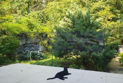 VANZARE VILA | PADUREA BANEASA | 158MP | 5 CAMERE | CURTE-LOC PARCARE - 3