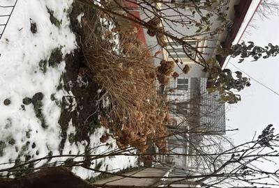 Casă cu 3 camere cu Teren 282 Mp în Central - 7