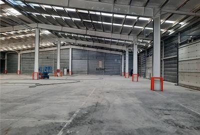 Spatiu Industrial - 1770 mp - Productie - Depozitare - Distributie - 10