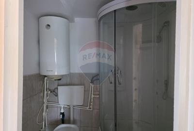 De vanzare casa taranesca Balusesti jud. Neamt - 9