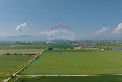 Teren Construcții intravilan de 31200 mp, în Feldioara