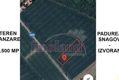 Teren intravilan - 4500 mp - Izvorani - Padurea Snagov - 2