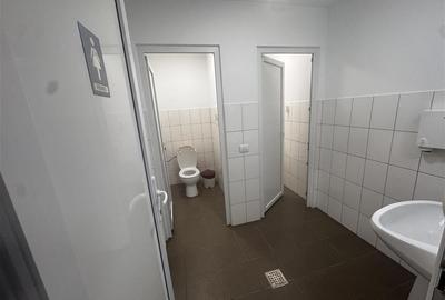 Birou de Inchiriat în Ploiesti  Parc Industrial Vest - 17