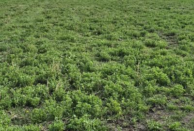 Spațiu comercial, în Cristian - 6