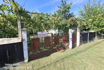 Vand casa batraneasca - 2