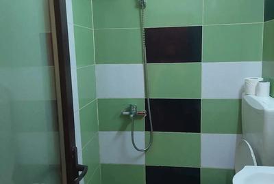 Garsoniera Garsoniera - 3