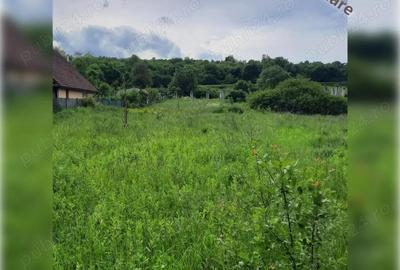 Teren de 1800 mp, în Ciurila - 6