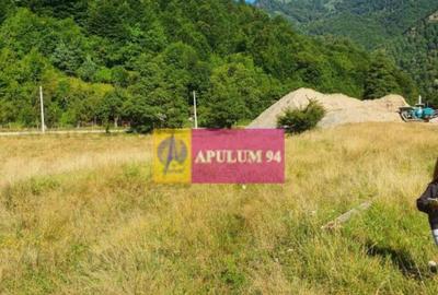 Teren Jude?ul Valcea - Brezoi, Valea lui Stan - 8