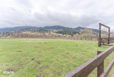 Spațiu comercial, în Plaiul Foii - 7