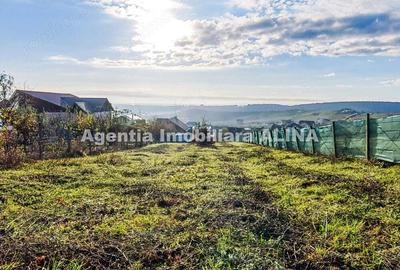 Teren intravilan 1438mp in Deva, situat pe Strada Iosif Vulcan. - 4