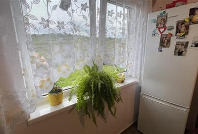 Casă individuală cu 4 camere cu Teren 2500 Mp în Ulieș - 21