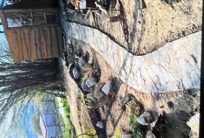 Casă cu 3 camere în Făget - 7