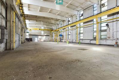 Spatiu industrial hala depozit 740 mp Drumul Taberei, Sector 6 Spatiu industrial hala depozit 740 mp Drumul Taberei, Sector 6 - 5