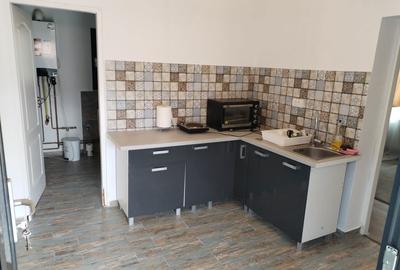 Casă cu 2 camere în Rusca - 5