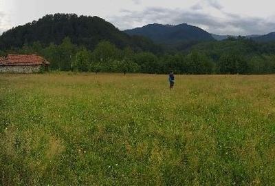 Teren de 12000 mp, în Uric - 5