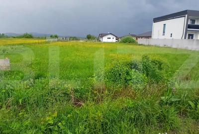 Teren de 1600 mp, în Jelna - 4