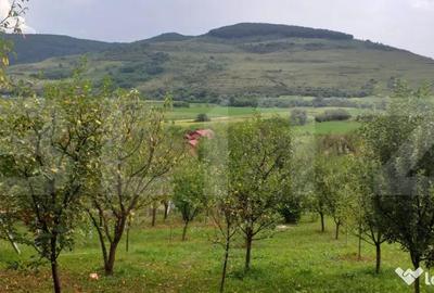 Teren în Central - 16
