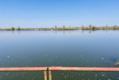 Casă individuală cu 10 camere cu Piscina în Roșu - 20