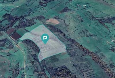 Teren de 87 Hectare de Arendat in Bara, Timi? - 7