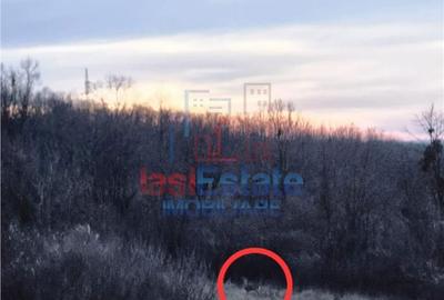 Spațiu comercial, în Vlădiceni - 9