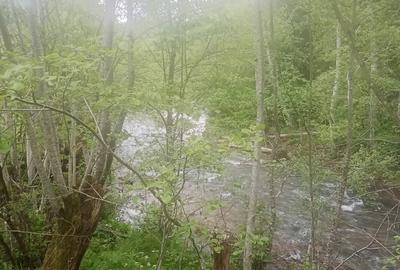 Casă cu 6 camere cu Teren 3250 Mp în Avram Iancu - 1