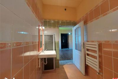 Casă cu 5 camere decomandat cu Teren 2155 Mp în Periam - 20