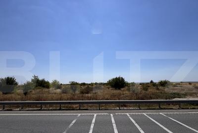 Teren intravilan, 13.025 mp, zona Carcea - 4