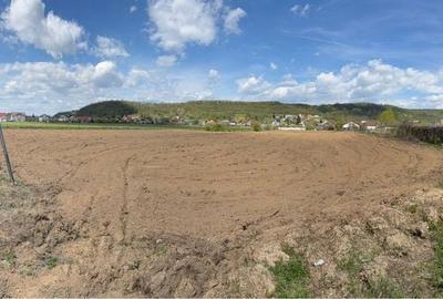 Teren de 9287 mp, în Valea Mare - 3