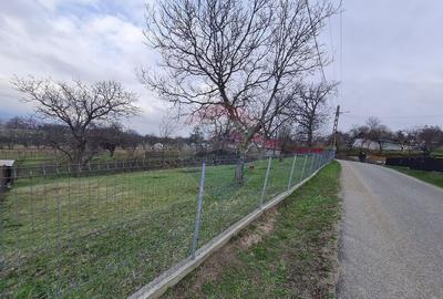 Teren de 1600 mp, în Păulești - 1