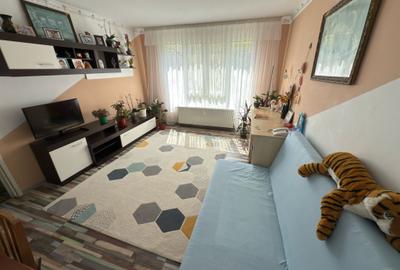 Apartament cu 4 camere decomandat în Ozana