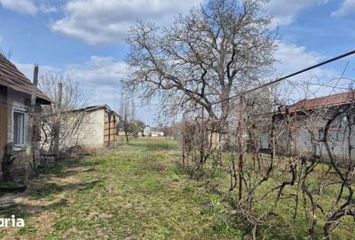 Casă cu 2 camere cu Teren 1399 Mp în Micula - 4