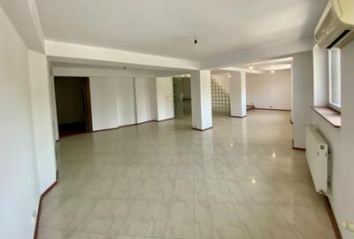 Spatiu comercial, stradal, de inchiriat - 8