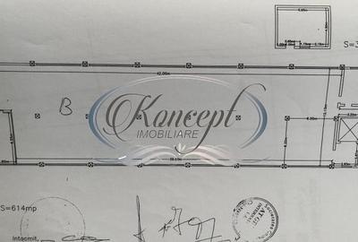 Hala depozitare/productie in Piata 1 Mai - 7