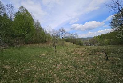 Teren intravilan 1454 mp la marginea padurii zona locuita de case! - 3