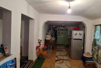 Casa individuala/sat Dobreni comuna Varasti - 13