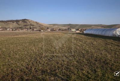 Teren Construcții intravilan de 3500 mp, în Apahida - 2