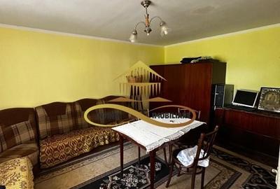 Casa batraneasca cu 2ha de teren de vanzare in sat Balaia / Bacau - 18